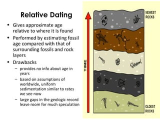 Relative Dating 
• Gives approximate age 
relative to where it is found 
• Performed by estimating fossil 
age compared with that of 
surrounding fossils and rock 
layers 
• Drawbacks 
– provides no info about age in 
years 
– based on assumptions of 
worldwide, uniform 
sedimentation similar to rates 
we see now 
– large gaps in the geologic record 
leave room for much speculation 
 