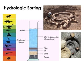 Hydrologic Sorting 
 