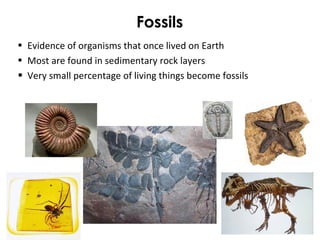 Fossils 
• Evidence of organisms that once lived on Earth 
• Most are found in sedimentary rock layers 
• Very small percentage of living things become fossils 
 