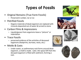 Types of Fossils 
• Original Remains (True Form Fossils) 
– Preserved in amber, tar or ice 
• Petrified Fossils 
– Organic materials of dead organism are replaced with 
minerals deposited out of water & turned to stone 
• Carbon Films & Impressions 
– Liquids/gasses from organisms leave a "picture" or 
indentation 
• Trace Fossils 
– preserved evidence of the activities of deceased 
organisms (footprints, burrows, nests, etc.) 
• Molds & Casts 
– Under water, as sedimentary rock forms around dead 
organism, a mold is made. Later, the space left from the 
decayed organism is filled with sediment, forming a 
cast. 
 