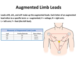 Augmented Limb Leads
Leads aVR, aVL, and aVF make up the augmented leads. Each letter of an augmented
lead refers to a specific term: a = augmented; V = voltage; R = right arm;
L = left arm; F = foot (the left foot).
 