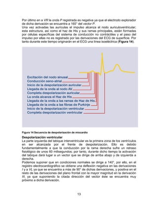 Por último en a VR la onda P registrada es negativa ya que el electrodo explorador
de dicha derivación se encuentra a 165° del vector P.
Una vez activadas las aurículas el impulso alcanza el nodo auriculoventricular;
esta estructura, así como el haz de His y sus ramas principales, están formadas
por células específicas del sistema de conducción no contráctiles y el paso del
impulso por ellas no es registrado por las derivaciones del ECG de superficie. Por
tanto durante este tiempo originarán en el ECG una línea isoeléctrica (Figura 14).




Figura 14 Secuencia de despolarización de miocardio
Despolarización ventricular
La parte izquierda del tabique interventricular es la primera zona de los ventrículos
en ser alcanzada por el frente de despolarización. Ello es debido
fundamentalmente a que la conducción por la rama derecha sufre un retraso
fisiológico de unos 60 milisegundos; por tanto, durante dicho tiempo la activación
del tabique dará lugar a un vector que se dirige de arriba abajo y de izquierda a
derecha.
Podemos suponer que en condiciones normales se dirige a 140°, por ello, en el
registro electrocardiográfico se obtiene una deflexión negativa en las derivaciones
I y a VL ya que se encuentra a más de 90° de dichas derivaciones, y positiva en el
resto de las derivaciones del plano frontal con la mayor magnitud en la derivación
III, ya que suponiendo la citada dirección del vector éste se encuentra muy
próximo a dicha derivación.



                                          13
 