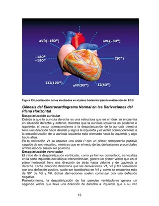 Figura 15 Localización de los electrodos en el plano horizontal para la realización del ECG

Génesis del Electrocardiograma Normal en las Derivaciones del
Plano Horizontal
Despolarización auricular
Debido a que la aurícula derecha es una estructura que en el tórax se encuentra
en situación derecha y anterior, mientras que la aurícula izquierda es posterior e
izquierda, el vector correspondiente a la despolarización de la aurícula derecha
lleva una dirección hacia delante y algo a la izquierda y el vector correspondiente a
la despolarización de la aurícula izquierda está orientado hacia la izquierda y algo
hacia atrás.
En la derivación V1 se observa una onda P con un primer componente positivo
seguido de uno negativo, mientras que en el resto de las derivaciones precordiales
ambos modos suelen ser positivos.
Despolarización ventricular
El inicio de la despolarización ventricular, como ya hemos comentado, se localiza
en la parte izquierda del tabique interventricular, genera un primer vector que en el
plano horizontal lleva una dirección de atrás hacia delante y de izquierda a
derecha. Dicha dirección determina que las derivaciones V1, V2 y V3 comiencen
con una deflexión positiva, suele ser isoeléctrico en V4 y, como se encuentra más
de 90° de V5 y V6, dichas derivaciones suelen comenzar con una deflexión
negativa.
Posteriormente, la despolarización de las paredes ventriculares genera un
segundo vector que lleva una dirección de derecha a izquierda que a su vez


                                             15
 