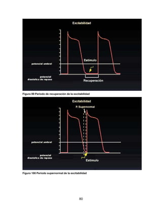 Figura 99 Periodo de recuperación de la excitabilidad




Figura 100 Periodo supernormal de la excitabilidad




                                            80
 