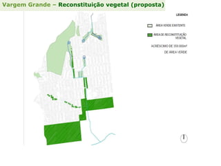 Vargem Grande – Reconstituição vegetal (proposta)
 
