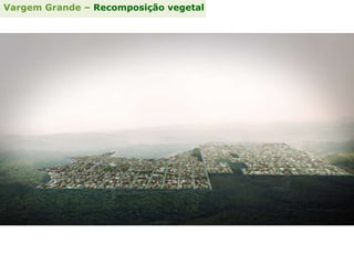 Vargem Grande – Recomposição vegetal
 