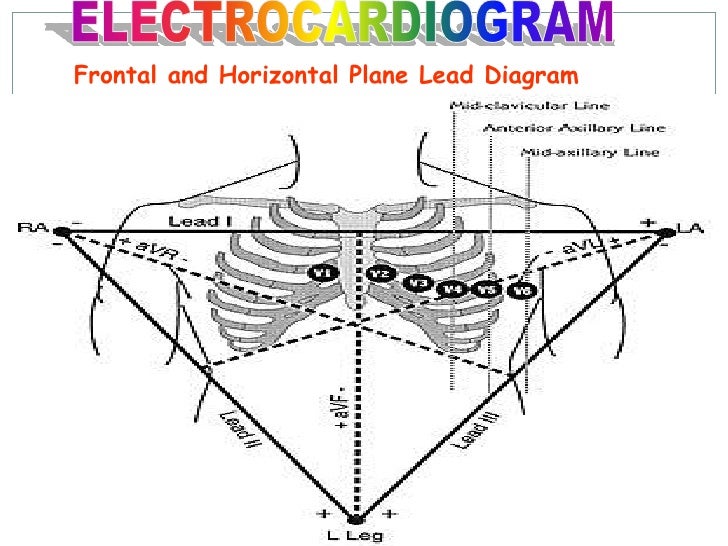 Ecg update(basic cardiology)