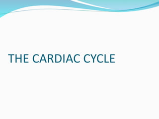 Comprehensive Overview of the Cardiac Cycle and ECG Interpretation for ...