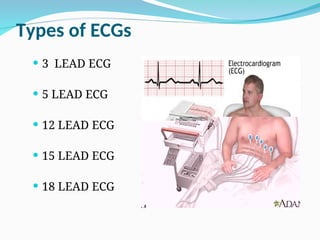 Comprehensive Overview of the Cardiac Cycle and ECG Interpretation for ...