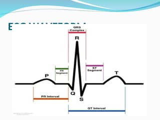 Comprehensive Overview of the Cardiac Cycle and ECG Interpretation for ...