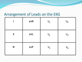 Comprehensive Overview of the Cardiac Cycle and ECG Interpretation for ...