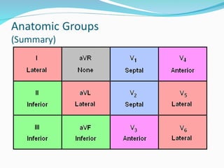 Comprehensive Overview of the Cardiac Cycle and ECG Interpretation for ...