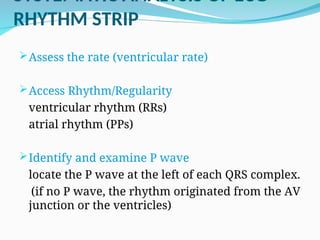 Comprehensive Overview of the Cardiac Cycle and ECG Interpretation for ...
