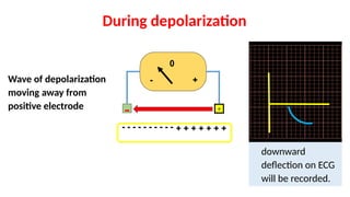 Downward Deflection Electrocardiography & Vectrocardiography | PPTX