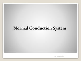Normal Conduction System
11
Dr. Bibek/CVASU
 