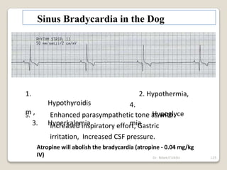 Dr. Bibek/CVASU 125
Sinus Bradycardia in the Dog
1.
Hypothyroidis
m ,
3. Hyperkalemia,
2. Hypothermia,
4.
Hypoglyce
mia
5. Enhanced parasympathetic tone as with:
Increased inspiratory effort, Gastric
irritation, Increased CSF pressure.
Atropine will abolish the bradycardia (atropine - 0.04 mg/kg
IV)
 