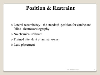 Position & Restraint
o Lateral recumbency - the standard position for canine and
feline electrocardiography
o No chemical restraint
o Trained attendant or animal owner
o Lead placement
30
Dr. Bibek/CVASU
 