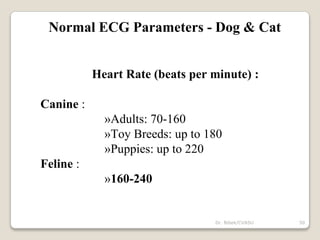 Normal ECG Parameters - Dog & Cat
Heart Rate (beats per minute) :
Canine :
»Adults: 70-160
»Toy Breeds: up to 180
»Puppies: up to 220
Feline :
»160-240
50
Dr. Bibek/CVASU
 