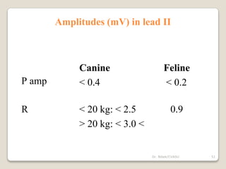 Amplitudes (mV) in lead II
P amp
Canine
< 0.4
Feline
< 0.2
R < 20 kg: < 2.5
> 20 kg: < 3.0 <
0.9
51
Dr. Bibek/CVASU
 
