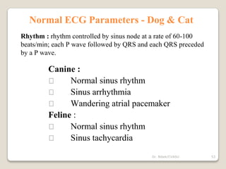 Normal ECG Parameters - Dog & Cat
Rhythm : rhythm controlled by sinus node at a rate of 60-100
beats/min; each P wave followed by QRS and each QRS preceded
by a P wave.
Canine :
Normal sinus rhythm
Sinus arrhythmia
Wandering atrial pacemaker
Feline :
Normal sinus rhythm
Sinus tachycardia
53
Dr. Bibek/CVASU
 