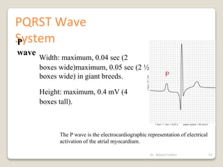 Dr. Bibek/CVASU 97
PQRST Wave
System
P
wave
Width: maximum, 0.04 sec (2
boxes wide)maximum, 0.05 sec (2 ½
boxes wide) in giant breeds.
Height: maximum, 0.4 mV (4
boxes tall).
The P wave is the electrocardiographic representation of electrical
activation of the atrial myocardium.
 