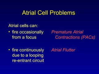 Atrial Cell Problems
Atrial cells can:
• fire occasionally
from a focus
• fire continuously
due to a looping
re-entrant circuit
Premature Atrial
Contractions (PACs)
Atrial Flutter
 