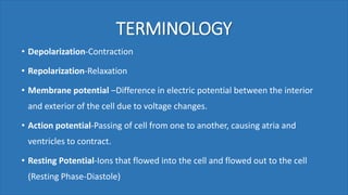 TERMINOLOGY
• Depolarization-Contraction
• Repolarization-Relaxation
• Membrane potential –Difference in electric potential between the interior
and exterior of the cell due to voltage changes.
• Action potential-Passing of cell from one to another, causing atria and
ventricles to contract.
• Resting Potential-Ions that flowed into the cell and flowed out to the cell
(Resting Phase-Diastole)
 