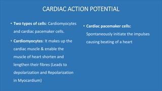 CARDIAC ACTION POTENTIAL
• Two types of cells: Cardiomyocytes
and cardiac pacemaker cells.
• Cardiomyocytes: It makes up the
cardiac muscle & enable the
muscle of heart shorten and
lengthen their fibres (Leads to
depolarization and Repolarization
in Myocardium)
• Cardiac pacemaker cells:
Spontaneously initiate the impulses
causing beating of a heart
 