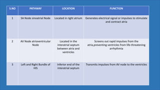 S.NO PATHWAY LOCATION FUNCTION
1 SA Node sinoatrial Node Located in right atrium Generates electrical signal or impulses to stimulate
and contract atria
2 AV Node atrioventricular
Node
Located in the
interatrial septum
between atria and
ventricles
Screens out rapid impulses from the
atria,preventing ventricles from life-threatening
arrhythmia
3 Left and Right Bundle of
HIS
Inferior end of the
interatrial septum
Transmits impulses from AV node to the ventricles
 