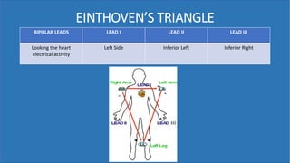EINTHOVEN’S TRIANGLE
BIPOLAR LEADS LEAD I LEAD II LEAD III
Looking the heart
electrical activity
Left Side Inferior Left Inferior Right
 
