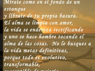 Mírate como en el fondo de un
estanque
y líbrate de tu propia basura.
El alma se limpia con amor,
la vida se endereza rectificando
y uno se hace hombre tocando el
alma de las cosas. No le busques a
la vida metas definitivas,
porque todo es evolutivo,
transformable,
 