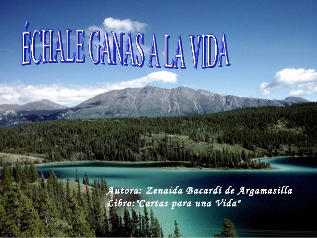 Echale Ganas A La Vida echale ganas a la vida