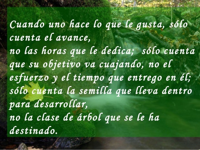 Echale Ganas A La Vida echale ganas a la vida