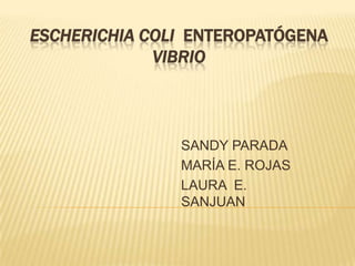 Escherichia colienteropatógena Vibrio SANDY PARADA MARÍA E. ROJAS LAURA  E. SANJUAN 