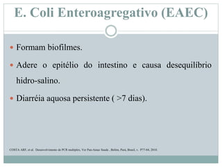 E. Coli Enteroagregativo (EAEC)
 Formam biofilmes.
 Adere o epitélio do intestino e causa desequilíbrio
hidro-salino.
 Diarréia aquosa persistente ( >7 dias).
COSTA ARF, et al. Desenvolvimento de PCR multiplex, Ver Pan-Amaz Saude , Belém, Pará, Brasil, v. P77-84, 2010.
 