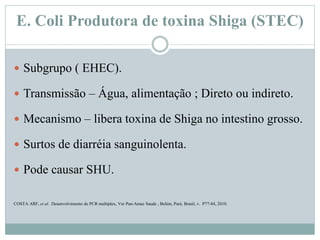 E. Coli Produtora de toxina Shiga (STEC)
 Subgrupo ( EHEC).
 Transmissão – Água, alimentação ; Direto ou indireto.
 Mecanismo – libera toxina de Shiga no intestino grosso.
 Surtos de diarréia sanguinolenta.
 Pode causar SHU.
COSTA ARF, et al. Desenvolvimento de PCR multiplex, Ver Pan-Amaz Saude , Belém, Pará, Brasil, v. P77-84, 2010.
 