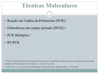Técnicas Moleculares
 Reação em Cadeia da Polimerase (PCR).¹
 Eletroforese em campo pulsado (PFGE).¹
 PCR Multiplex.²
 RT-PCR.
1- COSTA, Cristiane Mara Silva da. Caracterização molecular de amostras de Escherichia carreadoras dos genes stx isolados de bovinos nos estados
de Rondônia e do Rio de Janeiro, 82f, Rio de Janeiro, v3. , n35.,p12-13, mar, 2013.
2- COSTA ARF, et al. Desenvolvimento de PCR multiplex, Ver Pan-Amaz Saude , Belém, Pará, Brasil, v. P77-84, 2010.
 