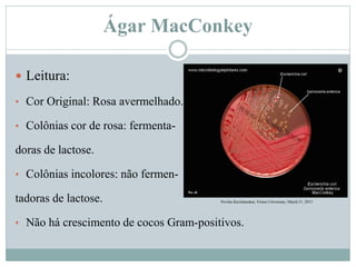 Ágar MacConkey
 Leitura:
• Cor Original: Rosa avermelhado.
• Colônias cor de rosa: fermenta-
doras de lactose.
• Colônias incolores: não fermen-
tadoras de lactose.
• Não há crescimento de cocos Gram-positivos.
Povilas Kavaliauskas, Vinius Universaty, March 31, 2015
 