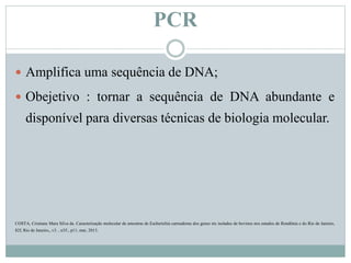 PCR
 Amplifica uma sequência de DNA;
 Obejetivo : tornar a sequência de DNA abundante e
disponível para diversas técnicas de biologia molecular.
COSTA, Cristiane Mara Silva da. Caracterização molecular de amostras de Escherichia carreadoras dos genes stx isolados de bovinos nos estados de Rondônia e do Rio de Janeiro,
82f, Rio de Janeiro,, v3. , n35., p11, mar, 2013.
 