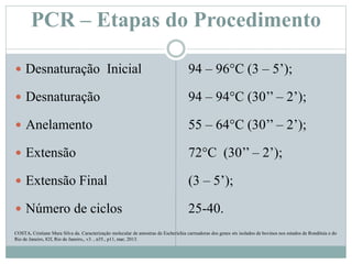 PCR – Etapas do Procedimento
 Desnaturação Inicial
 Desnaturação
 Anelamento
 Extensão
 Extensão Final
 Número de ciclos
94 – 96°C (3 – 5’);
94 – 94°C (30’’ – 2’);
55 – 64°C (30’’ – 2’);
72°C (30’’ – 2’);
(3 – 5’);
25-40.
COSTA, Cristiane Mara Silva da. Caracterização molecular de amostras de Escherichia carreadoras dos genes stx isolados de bovinos nos estados de Rondônia e do
Rio de Janeiro, 82f, Rio de Janeiro,, v3. , n35., p11, mar, 2013.
 