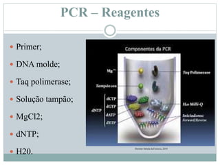 PCR – Reagentes
 Primer;
 DNA molde;
 Taq polimerase;
 Solução tampão;
 MgCl2;
 dNTP;
 H20.
Herman Sabala da Fonseca, 2010
 