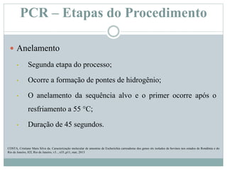 PCR – Etapas do Procedimento
 Anelamento
• Segunda etapa do processo;
• Ocorre a formação de pontes de hidrogênio;
• O anelamento da sequência alvo e o primer ocorre após o
resfriamento a 55 °C;
• Duração de 45 segundos.
COSTA, Cristiane Mara Silva da. Caracterização molecular de amostras de Escherichia carreadoras dos genes stx isolados de bovinos nos estados de Rondônia e do
Rio de Janeiro, 82f, Rio de Janeiro, v3. , n35.,p11, mar, 2013
 