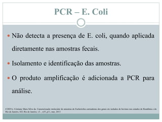 PCR – E. Coli
 Não detecta a presença de E. coli, quando aplicada
diretamente nas amostras fecais.
 Isolamento e identificação das amostras.
 O produto amplificação é adicionada a PCR para
análise.
COSTA, Cristiane Mara Silva da. Caracterização molecular de amostras de Escherichia carreadoras dos genes stx isolados de bovinos nos estados de Rondônia e do
Rio de Janeiro, 82f, Rio de Janeiro, v3. , n35.,p11, mar, 2013
 