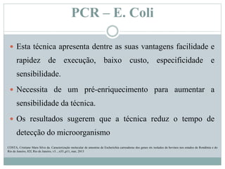 PCR – E. Coli
 Esta técnica apresenta dentre as suas vantagens facilidade e
rapidez de execução, baixo custo, especificidade e
sensibilidade.
 Necessita de um pré-enriquecimento para aumentar a
sensibilidade da técnica.
 Os resultados sugerem que a técnica reduz o tempo de
detecção do microorganismo
COSTA, Cristiane Mara Silva da. Caracterização molecular de amostras de Escherichia carreadoras dos genes stx isolados de bovinos nos estados de Rondônia e do
Rio de Janeiro, 82f, Rio de Janeiro, v3. , n35.,p11, mar, 2013
 