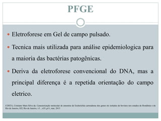PFGE
 Eletroforese em Gel de campo pulsado.
 Tecnica mais utilizada para análise epidemiologica para
a maioria das bactérias patogênicas.
 Deriva da eletroforese convencional do DNA, mas a
principal diferença é a repetida orientação do campo
eletrico.
COSTA, Cristiane Mara Silva da. Caracterização molecular de amostras de Escherichia carreadoras dos genes stx isolados de bovinos nos estados de Rondônia e do
Rio de Janeiro, 82f, Rio de Janeiro, v3. , n35.,p11, mar, 2013
 