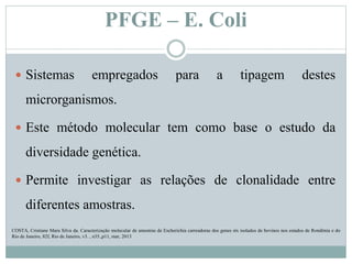 PFGE – E. Coli
 Sistemas empregados para a tipagem destes
microrganismos.
 Este método molecular tem como base o estudo da
diversidade genética.
 Permite investigar as relações de clonalidade entre
diferentes amostras.
COSTA, Cristiane Mara Silva da. Caracterização molecular de amostras de Escherichia carreadoras dos genes stx isolados de bovinos nos estados de Rondônia e do
Rio de Janeiro, 82f, Rio de Janeiro, v3. , n35.,p11, mar, 2013
 