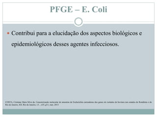 PFGE – E. Coli
 Contribui para a elucidação dos aspectos biológicos e
epidemiológicos desses agentes infecciosos.
COSTA, Cristiane Mara Silva da. Caracterização molecular de amostras de Escherichia carreadoras dos genes stx isolados de bovinos nos estados de Rondônia e do
Rio de Janeiro, 82f, Rio de Janeiro, v3. , n35.,p11, mar, 2013
 