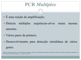 PCR Multiplex
 É uma reação de amplificação;
 Detecta múltiplas sequências-alvos numa mesma
amostra;
 Vários pares de primers;
 Desenvolvimento para detecção simultânea de vários
genes.
COSTA, Cristiane Mara Silva da. Caracterização molecular de amostras de Escherichia carreadoras dos genes stx isolados de bovinos nos estados de Rondônia e do
Rio de Janeiro, 82f, Rio de Janeiro, v3. , n35.,p11, mar, 2013
 