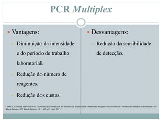 PCR Multiplex
 Vantagens:
• Diminuição da intensidade
e do período de trabalho
laboratorial.
• Redução do número de
reagentes.
• Redução dos custos.
 Desvantagens:
• Redução da sensibilidade
de detecção.
COSTA, Cristiane Mara Silva da. Caracterização molecular de amostras de Escherichia carreadoras dos genes stx isolados de bovinos nos estados de Rondônia e do
Rio de Janeiro, 82f, Rio de Janeiro, v3. , n35.,p11, mar, 2013
 