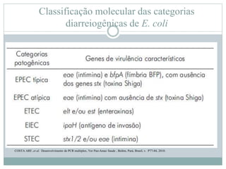Classificação molecular das categorias
diarreiogênicas de E. coli
COSTA ARF, et al. Desenvolvimento de PCR multiplex, Ver Pan-Amaz Saude , Belém, Pará, Brasil, v. P77-84, 2010.
 